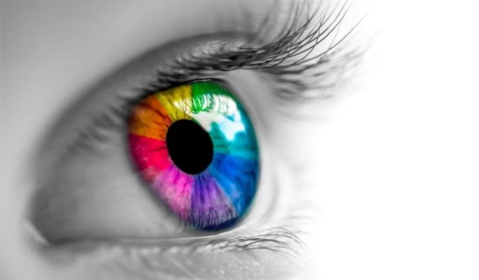 Percezione dei colori: come la vista umana li distingue