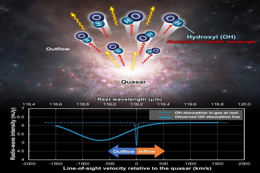 Il gas molecolare in uscita dal quasar include idrossile (OH) (in alto). A causa del movimento del gas molecolare verso l'osservatore, il picco OH nello spettro di assorbimento (linea blu tratteggiata in basso) appare a una lunghezza d'onda più corta (linea blu continua), un fenomeno noto come effetto Doppler. Crediti: ALMA (ESO/NAOJ/NRAO) modificato da Dragan Salak, et al. Il diario astrofisico. 1 febbraio 2024
