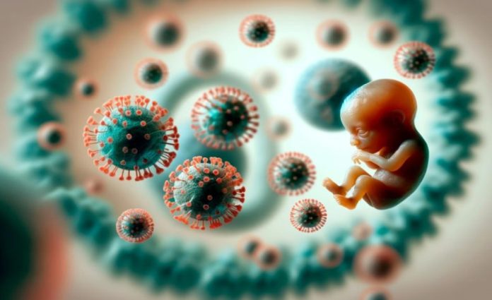 Retrovirus endogeni: cruciali nello sviluppo embrionale