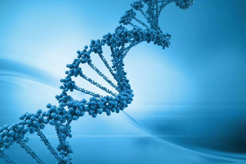 Genomi, origini della vita 