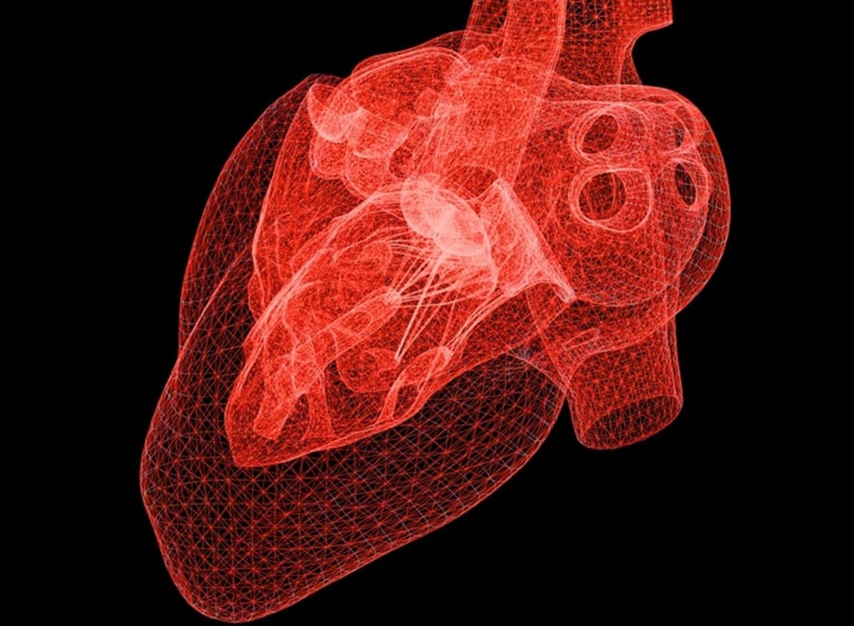 La finasteride potrebbe essere utile contro le malattie cardiache 4 finasteride