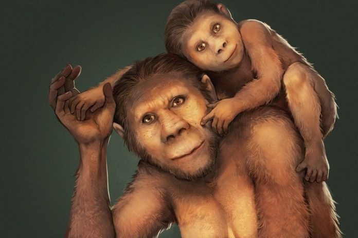 Come gli ominini sono sfuggiti all'estinzione climatica 900.000 anni fa