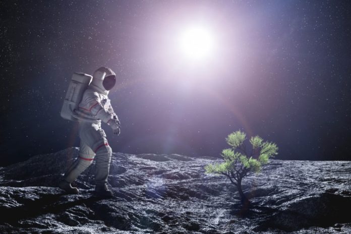 Missioni Artemis: lavori in corso per atterrare sulla Luna