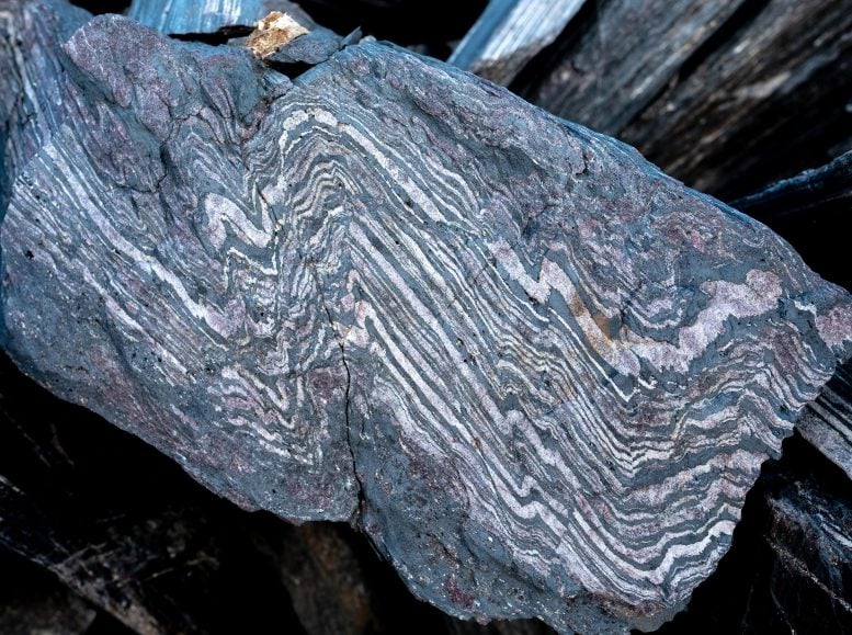 Un esempio della formazione di ferro fasciato vecchia di 3,7 miliardi di anni che si trova nella parte nord-orientale della cintura sopracrustale di Isua. Credito: Claire Nichols