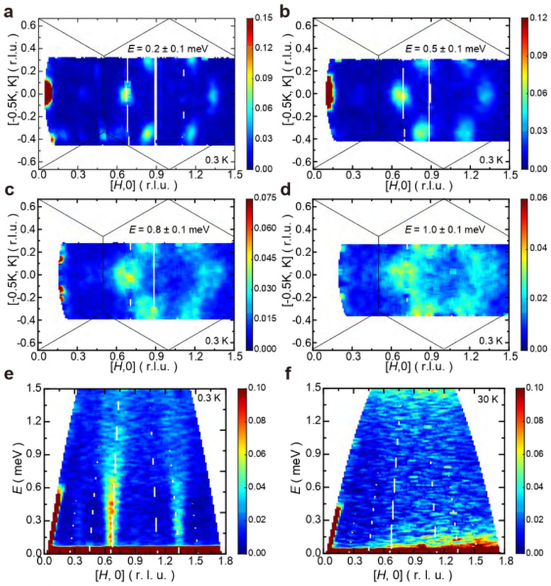 Eccitazioni di spin in YCu3(OD)6[Br0.33(OD)0.67] misurate tramite la diffusione dei neutroni. e,f, grafici del contorno dell'intensità dei risultati dell'INS in funzione di E e Q lungo la direzione [H, 0] a 0,3 K (e) e 30 K (f). Credito: Università di Hong Kong