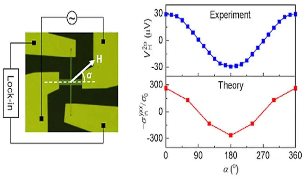 In un dispositivo con barra di Hall di Mn3Sn/Pt sotto un campo magnetico H (a sinistra), l'effetto Hall del secondo ordine si ottiene dall'esperimento e dalla modellazione teorica basata sulla metrica quantistica (a destra). Crediti: Jiahao Han, Yasufumi Araki e Shunsuke Fukami