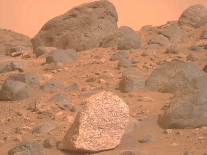 Un'insolita roccia chiazzata è stata fotografata su Marte