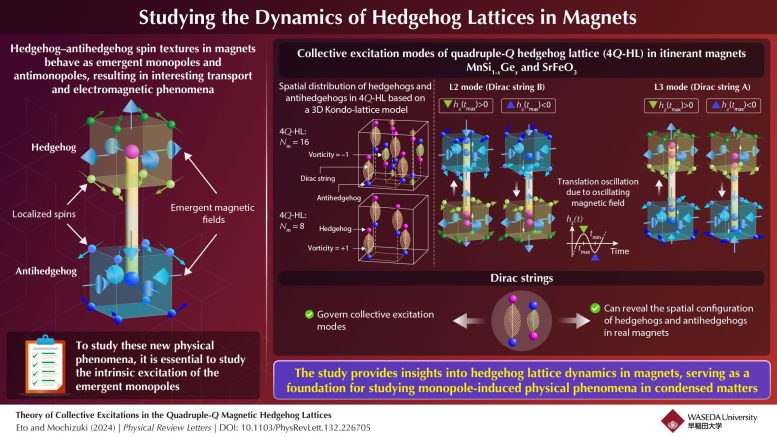 Le modalità di eccitazione collettiva dei reticoli del riccio sono governate dall'oscillazione delle stringhe di Dirac, che collegano un riccio e un antiriccio, che possono essere utilizzate per studiare la loro configurazione spaziale nei magneti. Credito: Masahito Mochizuki dell'Università di Waseda