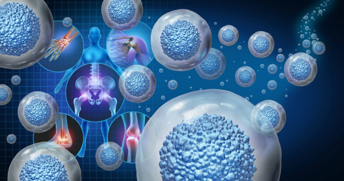 Medicina rigenerativa: scoperto un materiale rivoluzionario per la vita