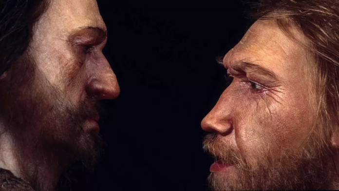 DNA dei Neanderthal: incredibile 1% rivela autismo