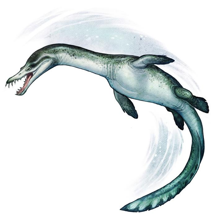 Nothosaur