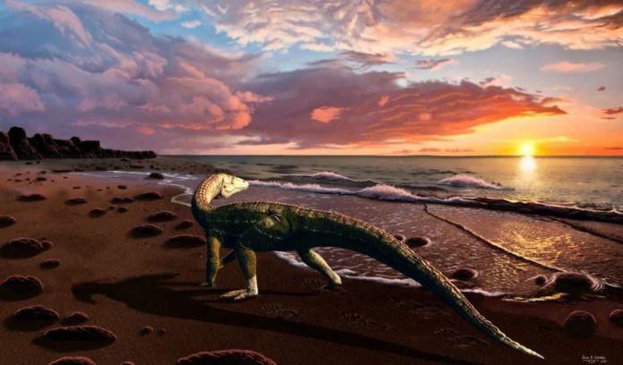 Benggwigwishingasuchus eremicarminis: scoperta una nuova specie di coccodrillo preistorico