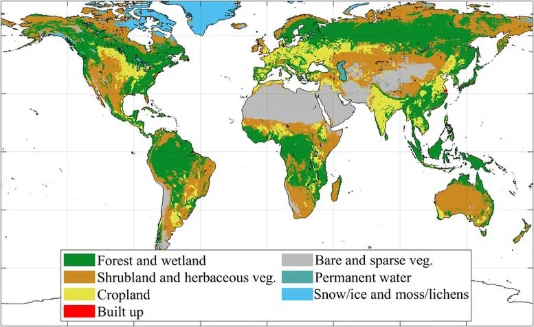 Distribuzione globale della copertura del suolo utilizzata nell'analisi. Rispetto al dataset originale di copertura del suolo Copernicus, il numero di classi è stato ridotto da 23 a 7. Credito: Journal of Remote Sensing