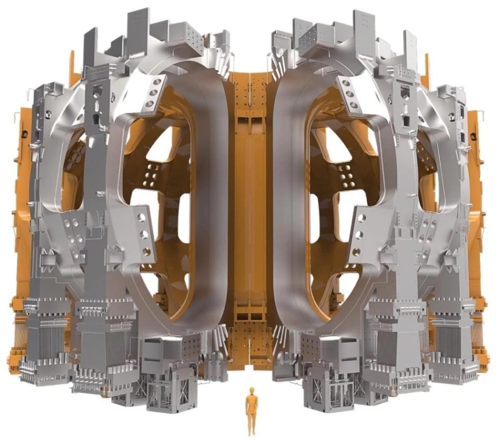 Come le bobine di campo toroidale si adattano al recipiente a vuoto del tokamak (inclusa la scala umana). Credito: ITER