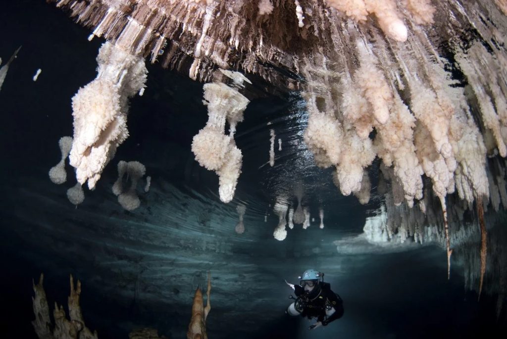 Le sovraescrescenze freatiche sugli speleotemi crescono esattamente al livello del mare, raffigurate sopra il subacqueo nella Galeria de les Delícies nella grotta di Drac, Maiorca, Spagna, offrendo una ricostruzione più accurata della storia passata del livello del mare. Notare le stalagmiti sommerse che sono cresciute quando il livello del mare era molto più basso. Credito: M.À. Perelló