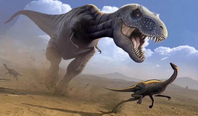 Il T-rex era più grande di quanto stimato in precedenza