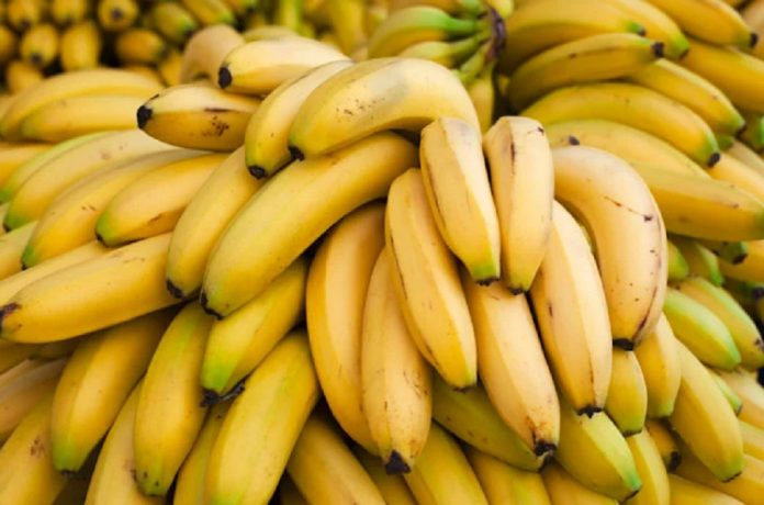 Banane: forse trovata una strada per salvarle dall'estinzione