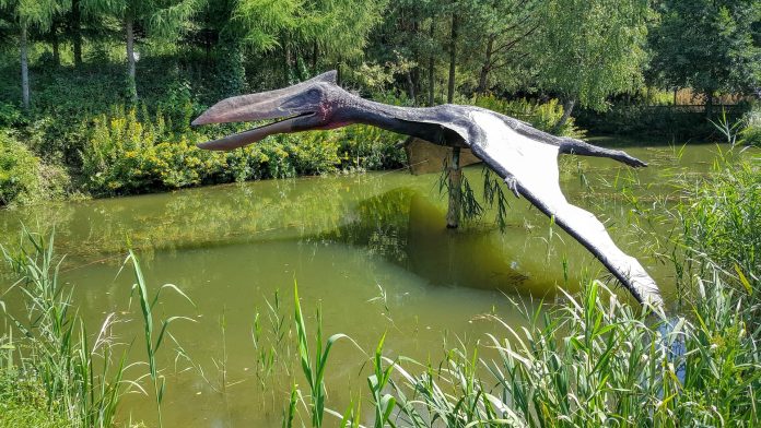 Pterosauri: scoperti 2 esemplari inclusa una nuova specie