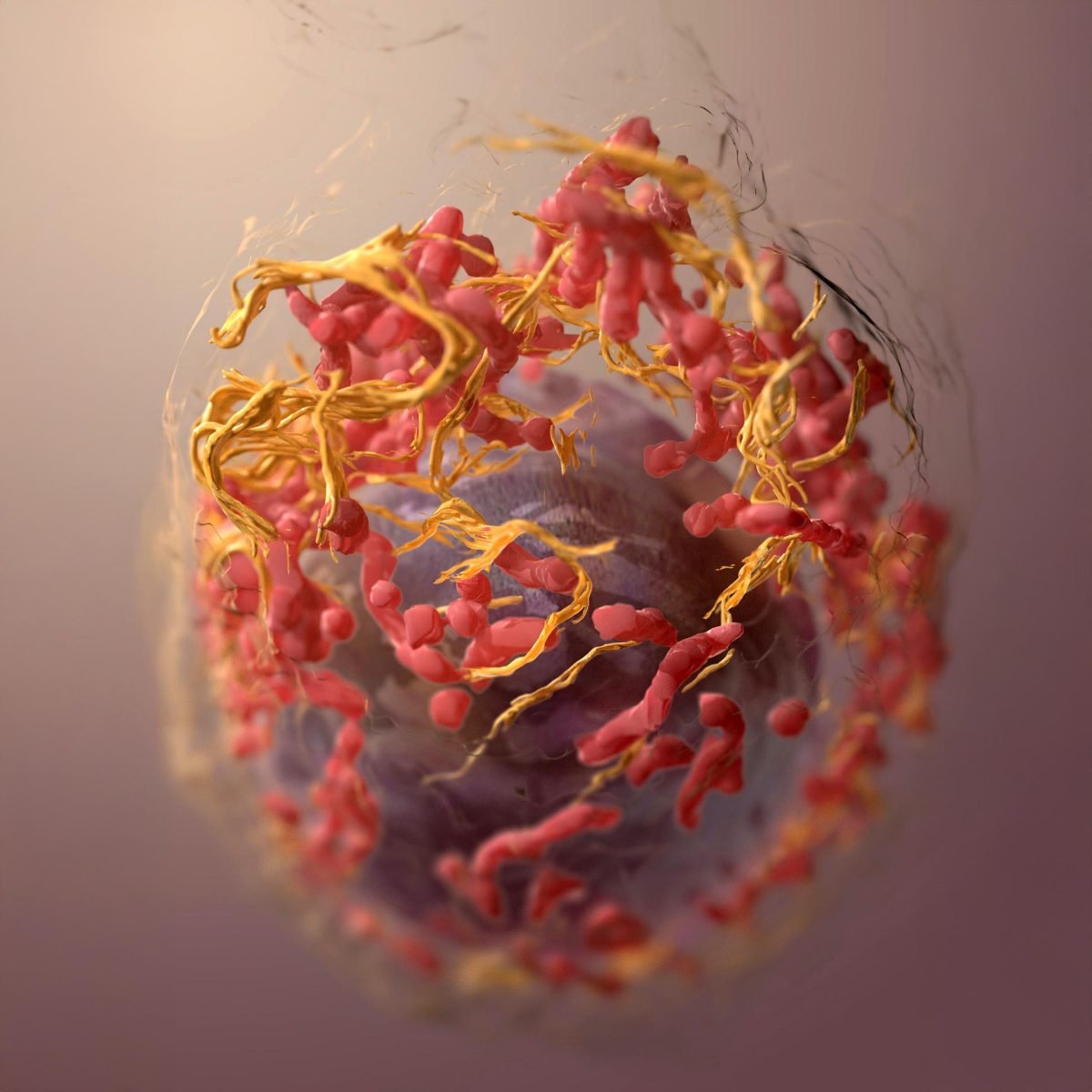Teoria genetica del cancro: è veramente la strada da seguire? 1 Teoria genetica del cancro: è veramente la strada da seguire?
