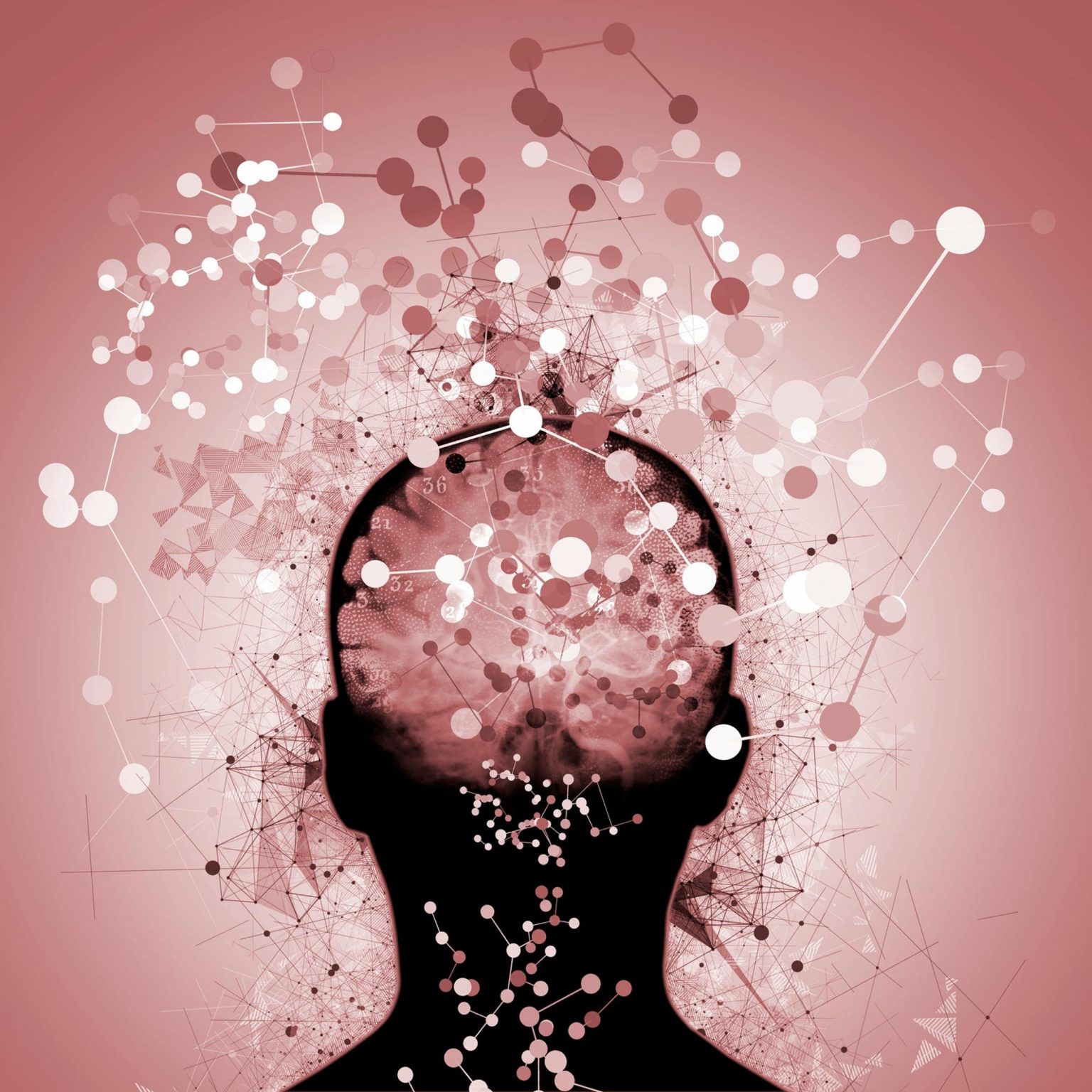 Acido carnosico: verso una terapia innovativa per l'Alzheimer 1 Acido carnosico: verso una terapia innovativa per l'Alzheimer