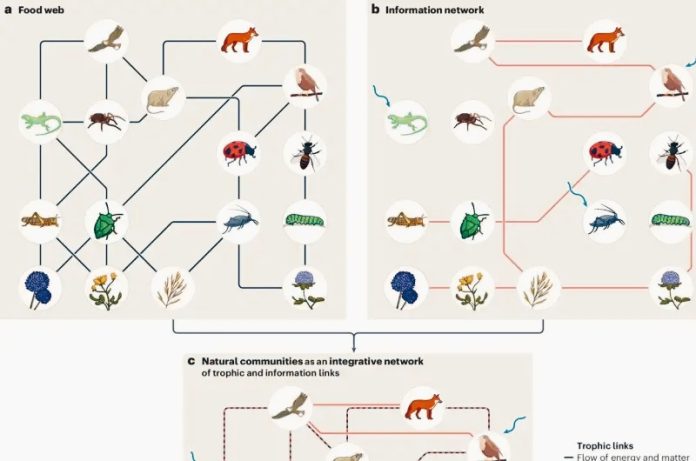 Internet della natura: la rete invisibile che guida gli ecosistemi