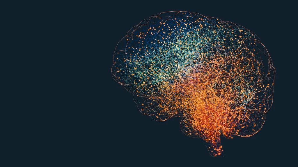 Neurogenesi: la nascita di nuovi neuroni nel cervello adulto è possibile? 1 Neurogenesi: la nascita di nuovi neuroni nel cervello adulto è possibile?