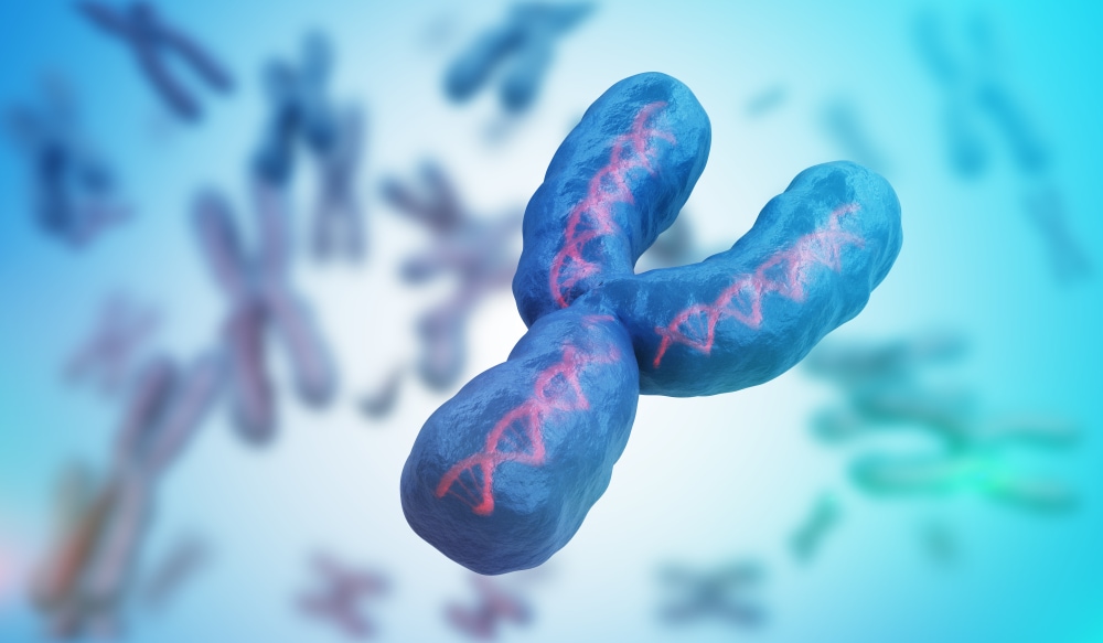 Cromosoma Y in retrazione: un allarme per la salute maschile 1 Cromosoma Y in retrazione: un allarme per la salute maschile