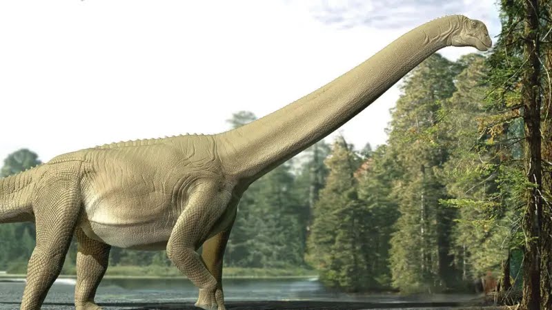 Sauropode di 95 milioni di anni fa: svelato il segreto alimentare di un colosso del mesozoico 1 Sauropode di 95 milioni di anni fa: svelato il segreto alimentare di un colosso del mesozoico