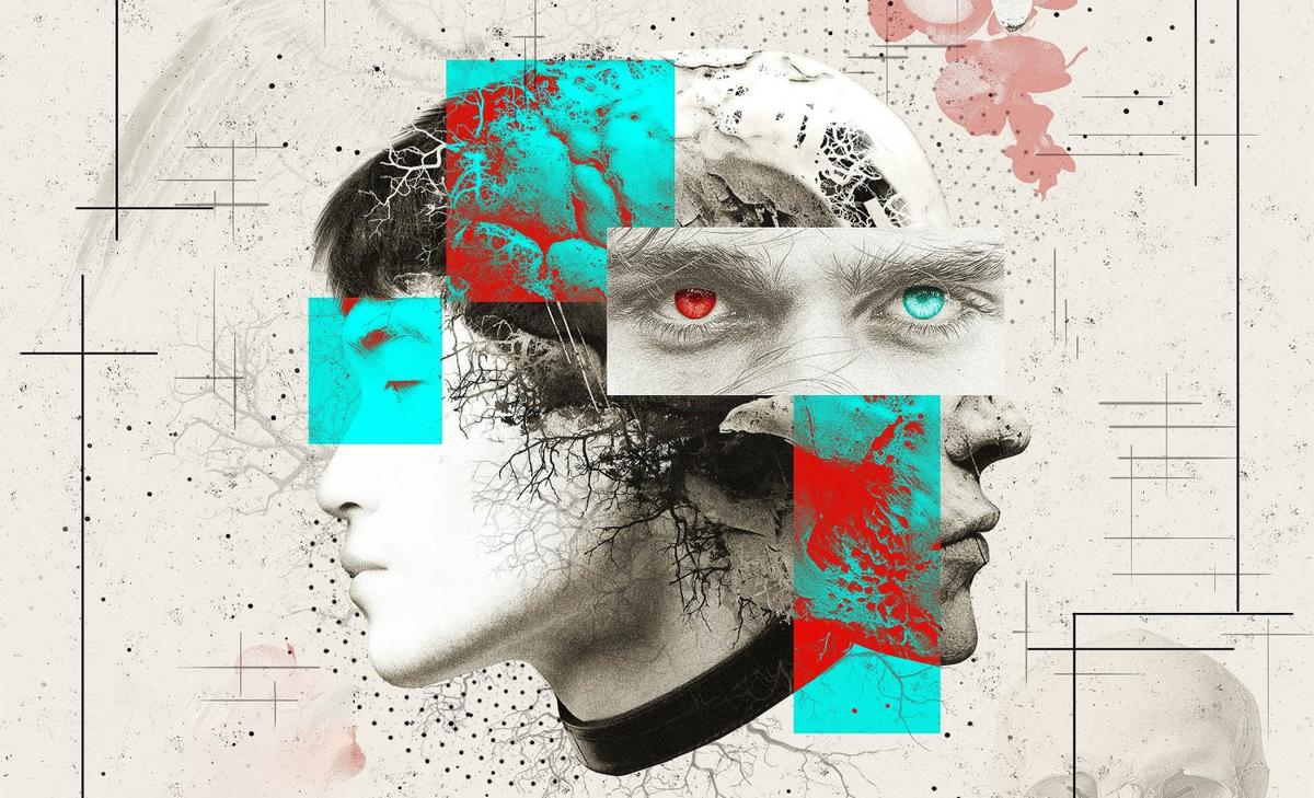 Cervello: l'architetto silenzioso della realtà coerente 1 Cervello: l'architetto silenzioso della realtà coerente
