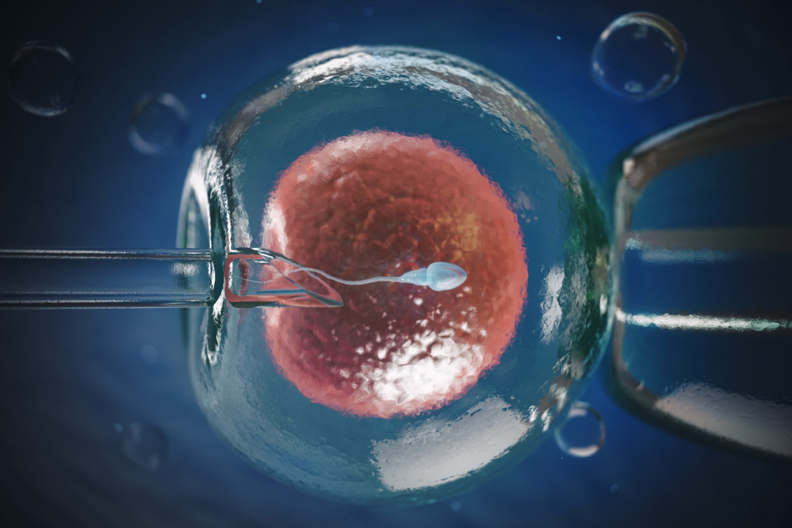 Otto bambini sani sono nati con DNA di 3 persone 1 Otto bambini sani sono nati con DNA di 3 persone