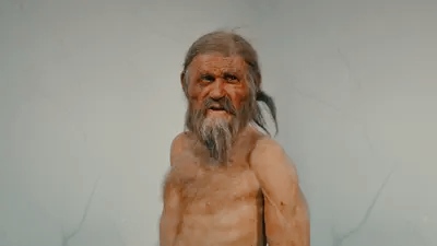 Ötzi e i suoi vicini: un DNA svela i segreti del Neolitico alpino 1 Ötzi e i suoi vicini: un DNA svela i segreti del Neolitico alpino
