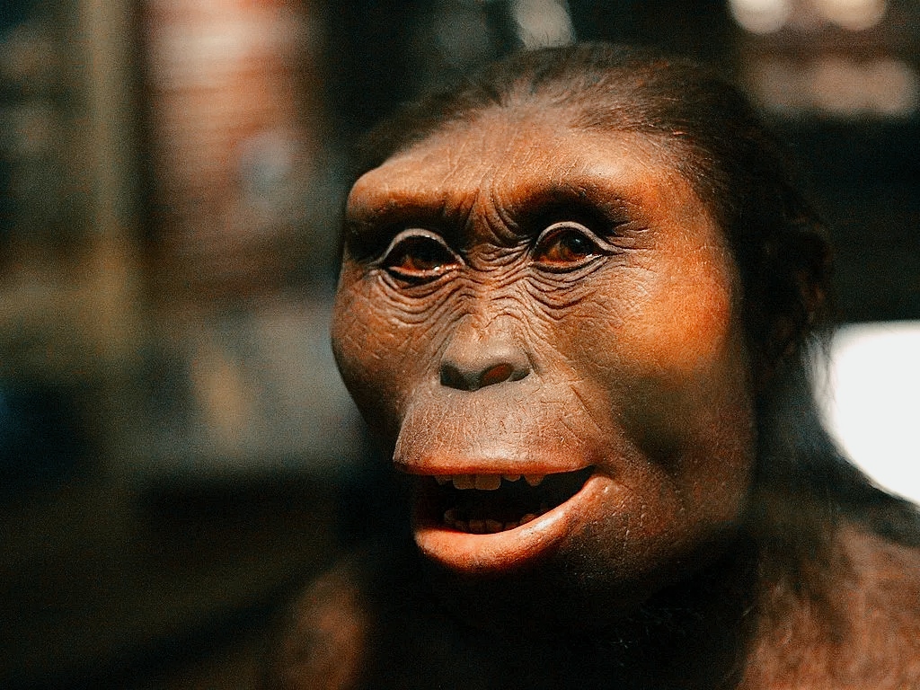 Homo Sapiens: l'ultimo ramo di un albero vastissimo 1 Homo sapiens: l'ultimo ramo di un albero vastissimo