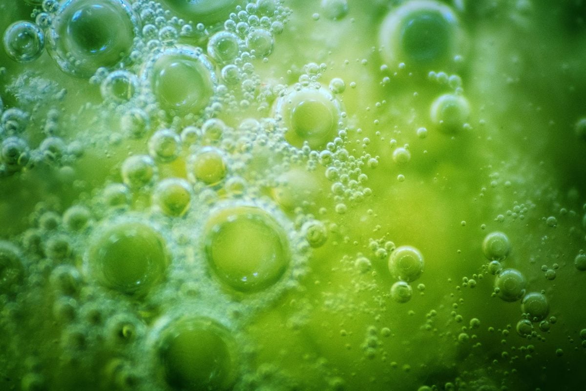 La Terra indica la via: vita marziana nel sottosuolo profondo 1 La Terra indica la via: vita marziana nel sottosuolo profondo