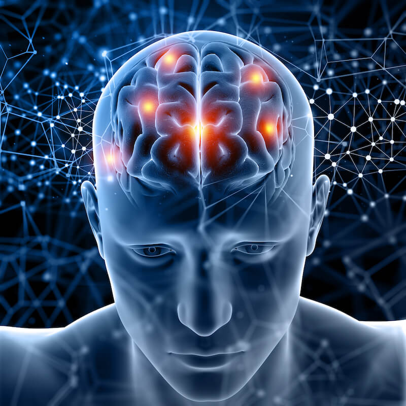 Il nostro cervello lavora costantemente, anche quando non siamo consapevoli 1 Il nostro cervello lavora costantemente, anche quando non siamo consapevoli