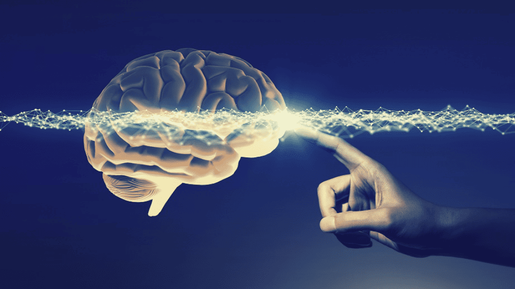 Cervello umano: ecco come passiamo dal sonno alla coscienza 1 Cervello umano: ecco come passiamo dal sonno alla coscienza