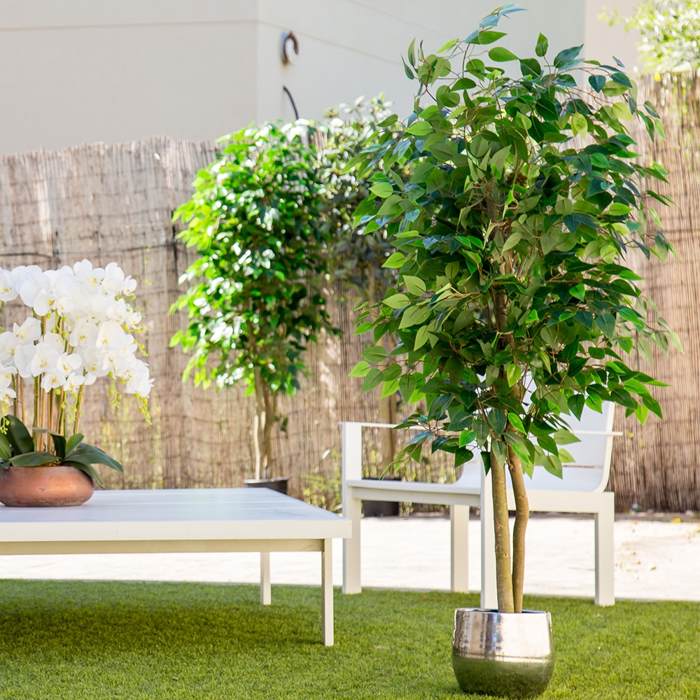 Planta Artificial, Árbol con Troncos Naturales, para Decoración Hogar,  Bambú, Ficus, Wisteria, Olivo, Eucalipto, Almendro | Rehabilitaciones y  Reformas en comunidad de propietarios y locales comerciales