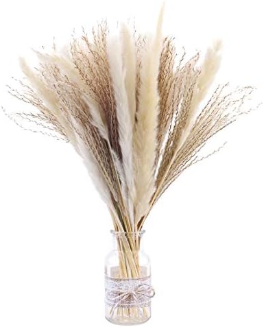 50 Pampas Secas Naturales Blancas De 40 Cm, Decoración para El Hogar, Flores Secas Naturales De Fragmitas para Jarrones, Ramo De Flores Blancas Fragmitas para Decoración De Bodas Y Fiestas