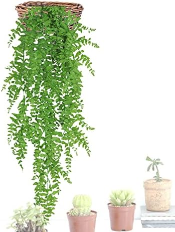 Imtrub Plantas pared, helechos artificiales, plantas artificiales realistas, hechas a mano, hiedra falsa, decoración pared para habitación, pared, jardín, exterior, boda, interior