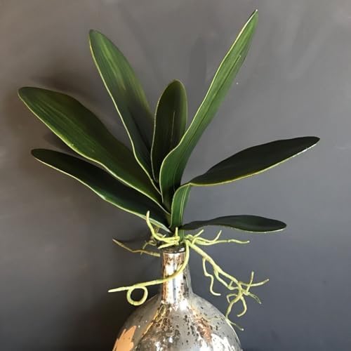 1 planta suculenta de hoja verde artificial, hojas de orquídea artificiales verdes realistas, hojas falsas realistas