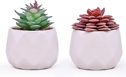 Youesedew Plantas Artificiales Decorativas en macetas de cerámica Blanca, Decoracion hogar,convirtiéndolas Amigos. (Juego de 2 Piezas)
