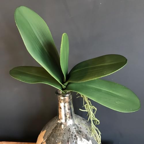 1 planta suculenta de hojas verdes artificiales, hojas de orquídea artificiales verdes realistas, hojas falsas realistas