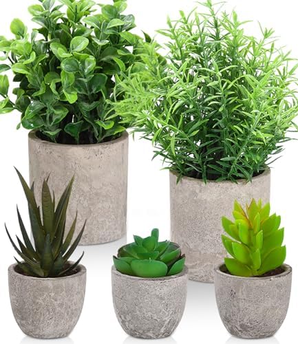 5 Pcs Plantas Artificiales Decorativas en Maceta,Plantas Suculentas Artificiales Falso,Hierba de Arbustos de Imitación,Flor Falsa Pequeña Planta Exterior Interior,deales para la Decoración de la Casa