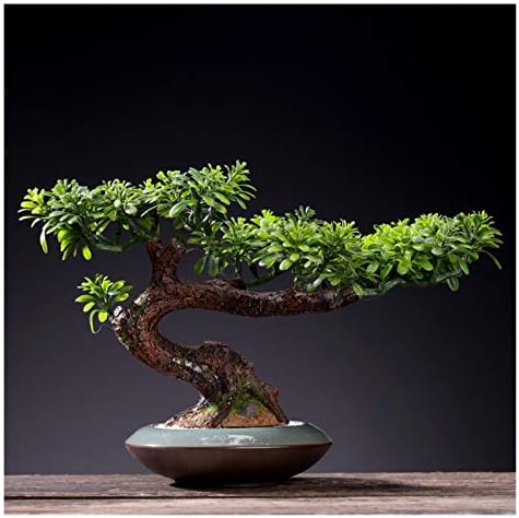 bonsai artificial realista Creative Fake Fake Bonda Bonsai Ornamentos Pequeños Simulación Decoración de plantas de planta Sala de estar de estar de escritorio interior Ornamentos en macetas Regalos de