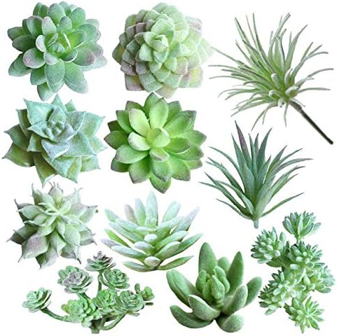 11 Piezas Suculentas Plantas Artificiales, Suculentas Artificiales Verdes Surtidas, Plantas Flocadas Artificiales Suculenta Plástico Plantas Realistas Variadas para Decoraciones Paisaje Casa Bricolaje