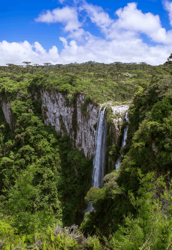 Wasserfall Jungle Reisen Wandern Ausblick Wald Urlaub