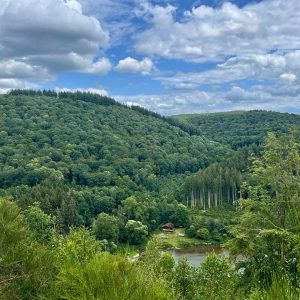 Art of Relating Mini Festival in Nature