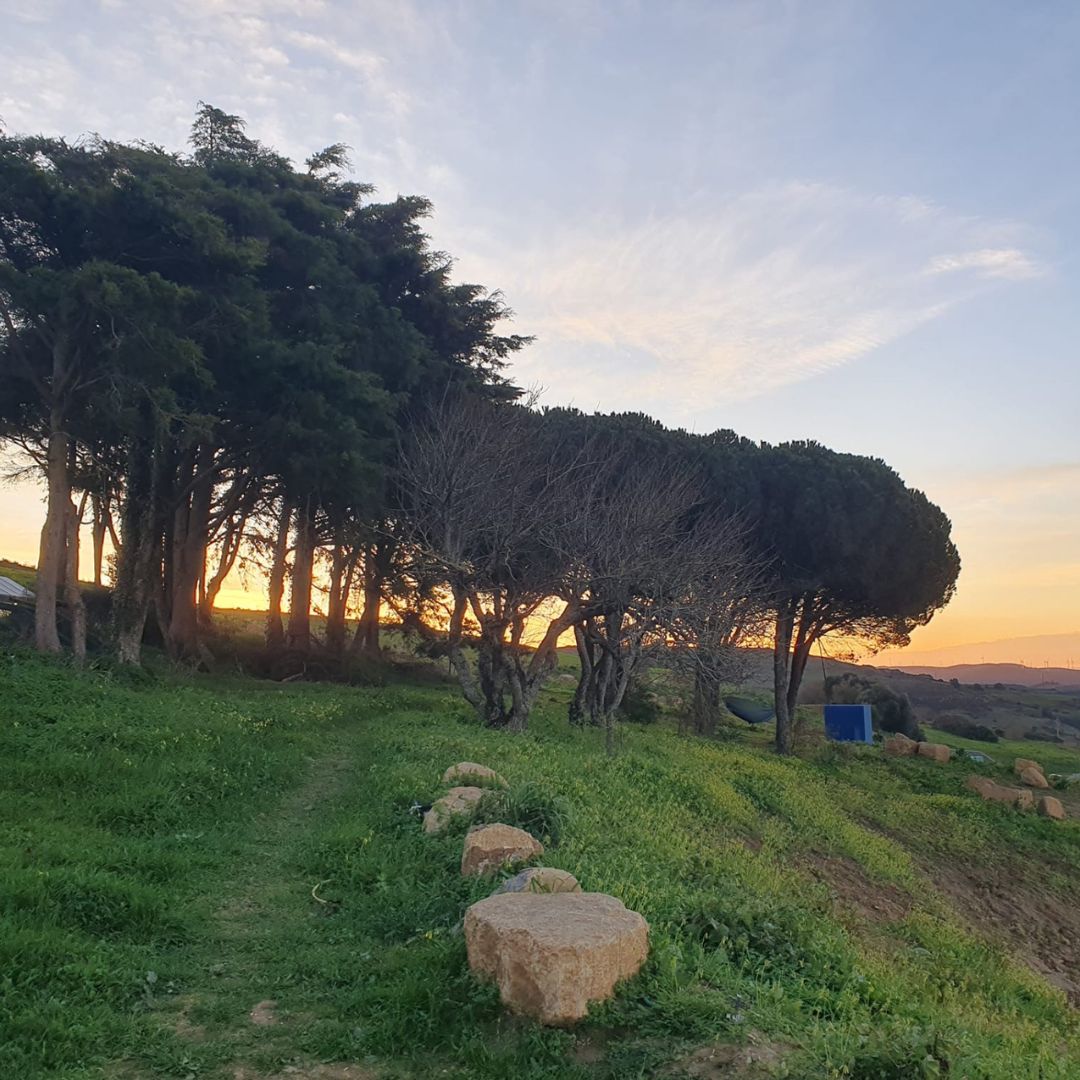 Transformational Connection Hub