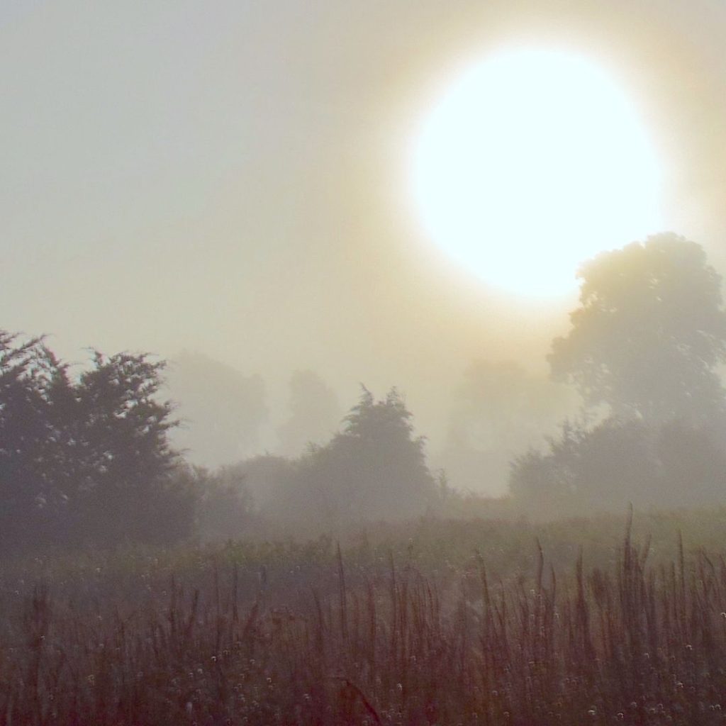 Lead from within with martje witzel featured