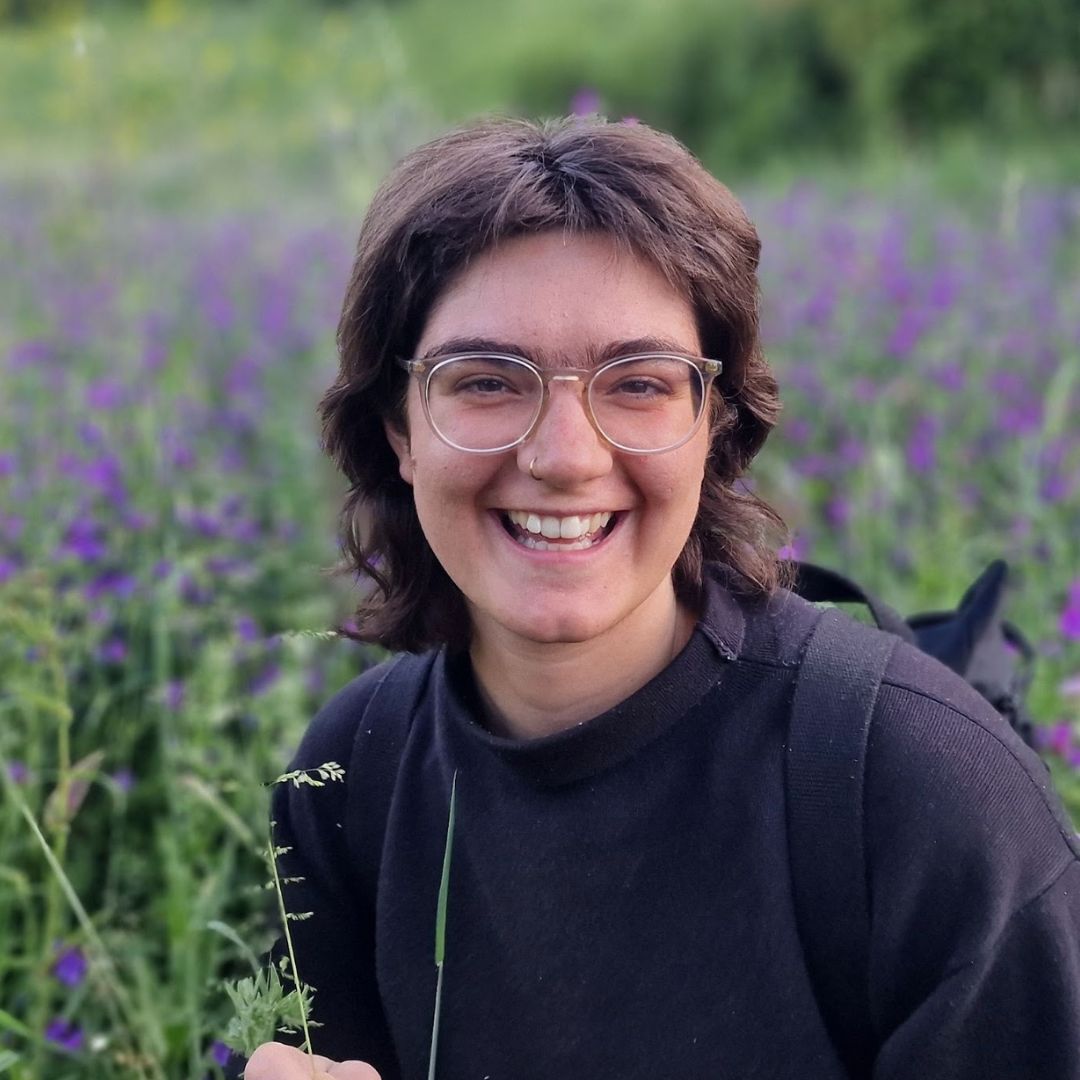 Noor Al-Hashemi featured