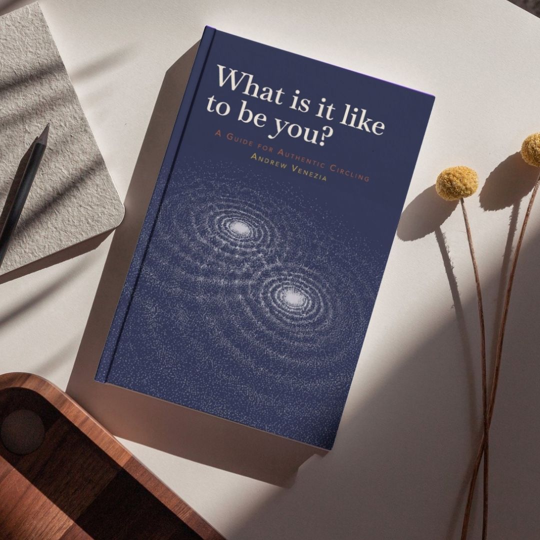 What is it like to be you book by andrew venezia